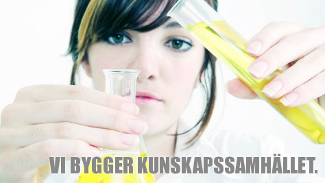 Text: Vi bygger kunskapssamhället Text: Vi bygger kunskapssamhället
